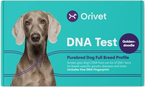 ערכת בדיקת ד. נ. א של כלב אוריבט-גולדנדודל פרופיל גזע מלא / בדיקת גור נגד 250 סיכונים בריאותיים רפואיים ותכונות