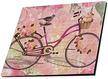 קיר אמנות ציור בציר פרחוני פרח ציפור אופניים ורוד הדפסי על בד התמונה נוף תמונות שמן לבית מודרני