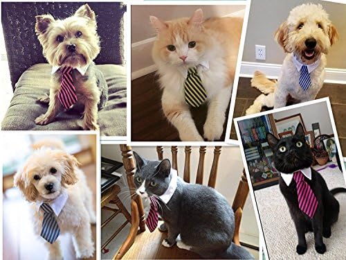 חתול ליל כל הקדושים תלבושות עניבה, חיות מחמד תלבושות עסקים עניבה מתאים לחתולים כלבים קטנים גור