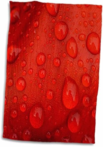 תלת מימד ורד מקרוב של טיפות גשם על מגבת כותרת בצבעון אדום, 15 x 22