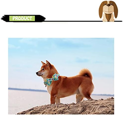 צווארון כלבים חורפי - צווארון כלבי לימון ירוק ורצועה סט עם אופנת עניבת פרפר לאספקת חיית מחמד קטנה של כלב בינוני