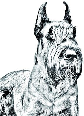 שנאוצר קצוץ, מצבה סגלגלה מאריחי קרמיקה עם תמונה של כלב