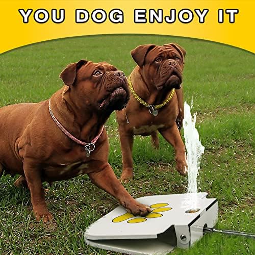 כלב מזרקת מים, קל כפה הופעל שתיית מתקן לחיות מחמד, אוטומטי הופעל לחיות מחמד מזרקת מים, כלב ממטרה, מתקן