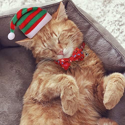 חג המולד חתול תלבושות סט עם חתול סנטה כובע חתול צעיף משולש ליקוק מטפחת מתכוונן חתולים הבדלני קולרים