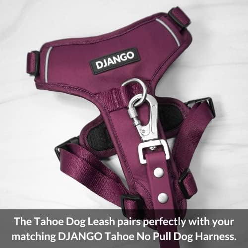 רצועת כלבים אטומה למים של Django Tahoe-רצועה עמידה, נוחה וקלה לניקוי מים עם קליפ רצועה של קרבינר