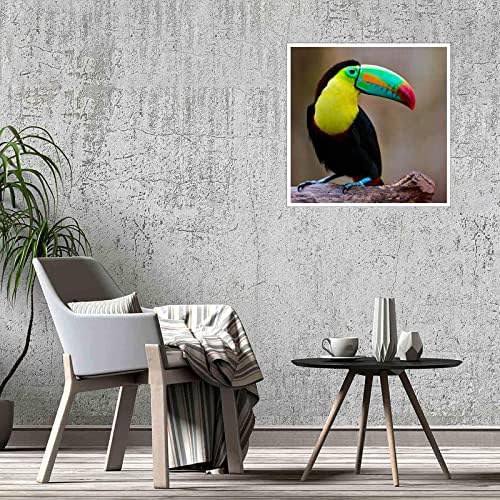 טוקאן תמונות קיר תפאורה בעלי החיים פוסטר הדפסי בד הדפסת קיר אמנות לסלוןלא ממוסגר12 איקס12