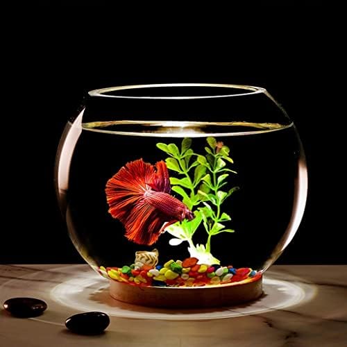 עציץ בועה שקוף עגול עגול זכוכית יצירתית טנק דגים שקוף משרד שולחן עבודה שולחני דג קטן מיכל דקור דקורטיבי מיכל