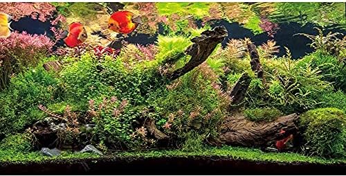 אוורט ויניל מתחת למים צמח מים דגי טנק רקע גזע עץ מיטת נהר & אגם טרופי אקווריום רקע 24 על 12 סנטימטרים