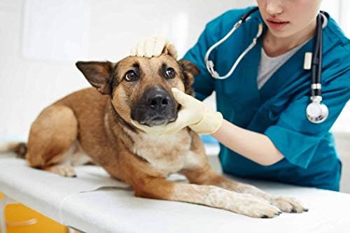 כלב גירוד העור הקלה גלולות-הטוב ביותר כלב אלרגיה הקלה-להיפטר גירוד-תמיכה חיסונית-לועס-קוורצטין כלבים-150 פינוקים