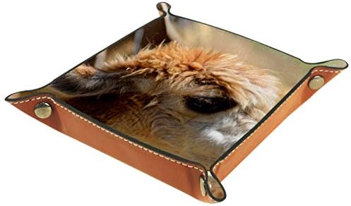 Lyetny Alpaca מארגן דפוס מגש אחסון תיבת מיטה ליד מיטה קאדי שולחן עבודה מגש החלפת ארנק קופסת ארנק