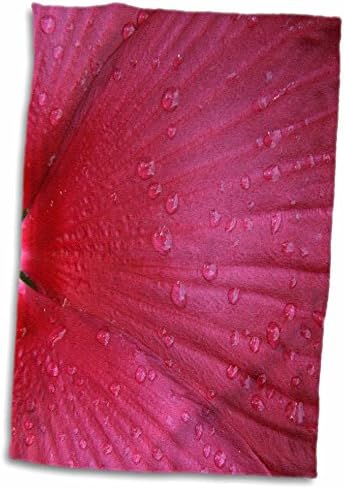 3drose danita delimont - פרח - היביסקוס אדום, תקציר - מגבות