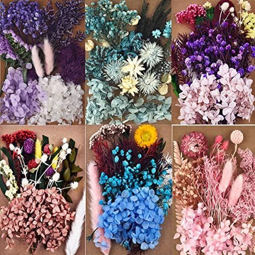 דלרן 6 חבילה אמיתית פרחי עלים מיובשים-מיובשים-ריבוי צבעוני פרחים לחץ דחפנים הידראנגים לתכשיטי שרף מלאכה להכנת