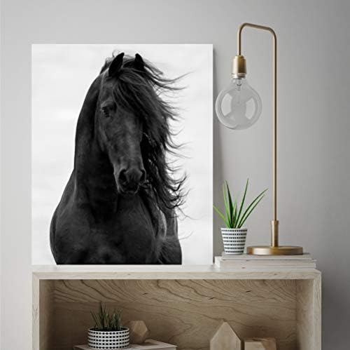 שוק קורטסייד מיין 16 איקס20 גלריה-עטופה בד קיר אמנות רכיבה, מרוץ סוסים, מלכותי, לבן, שחור, אפור, 16 איקס20,