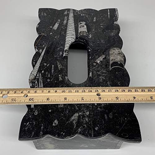 2.33 קג, 10.5 X6.25, טבעי מאובנים שחורים בעבודת יד אורתוציראס טישו כיסוי קופסת נייר @morocco, עתיק, ייחודי,
