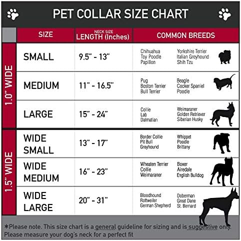 צווארון כלב אבזם חגורת בטיחות שלבי לוגו קופסא שלבי וסופר נחש קוברה שחור לבן 9.5 עד 13 אינץ 'ברוחב 1.0 אינץ'