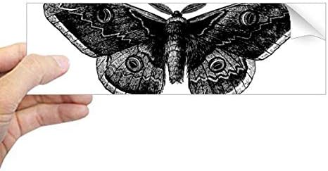 Diythinker שחור פרפר עפיפון מלבן מלבן פגוש מדבקות חלון מדבקות חלון