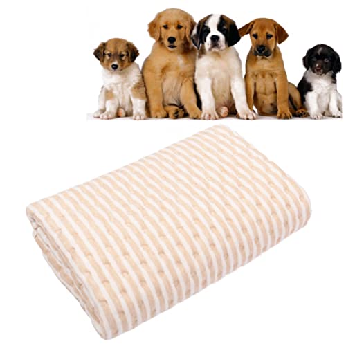 רפידות מיטות רחיצות רפידות רפידות רפידות מיטות כרית כלב כרית שתן כלב כלב מחצלת רפידות תינוקות מזרן