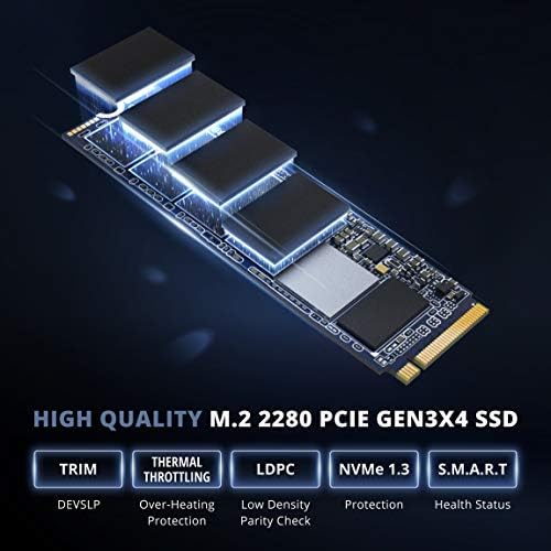 פיוניר 256GB NVME SSD PCIE M.2 2280 GEN 3x4 TLC מהירות גבוהה פנימית קריאה/כתוב עד 3100/1000MB/S כונן