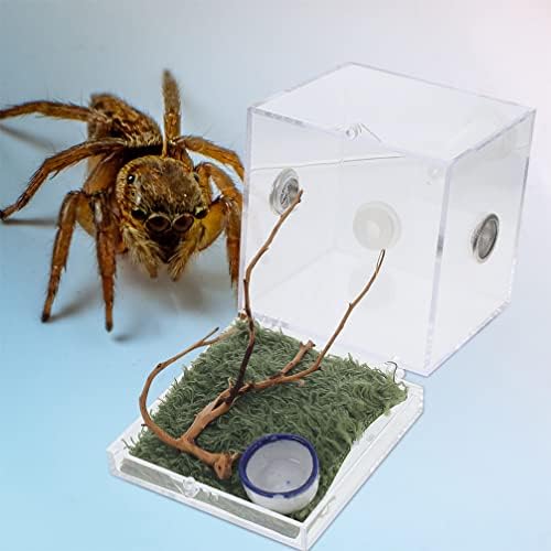 2 סטי עכביש בית גידול תיבת זוחלים האכלת רבייה תיבת ברור אקריליק עכביש כלוב קטן טנק מקרה נוף עכביש בית