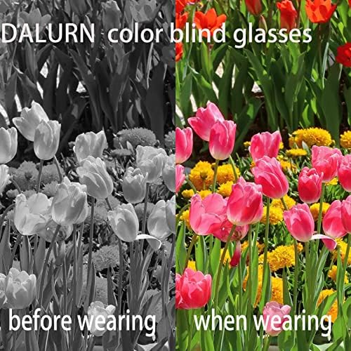 משקפיים עיוורי צבעים של דלורן לגברים