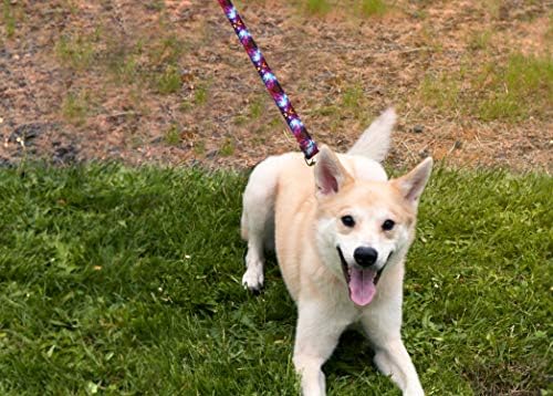 אייל חיית מחמד ללבוש רצועת כלבים דלוקס - רצועות מחמד כבדות בדוגמת, מיוצרות בארצות הברית - 1 סנטימטר x 6 רגל,