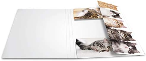 הרמה19212 אספן של תיקיית דין 4 חיות חתולים, חסון קרטון, תיקיית עם צבעוני מודפס פנימי דשים גומייה, ציור תיקיית לילדים,