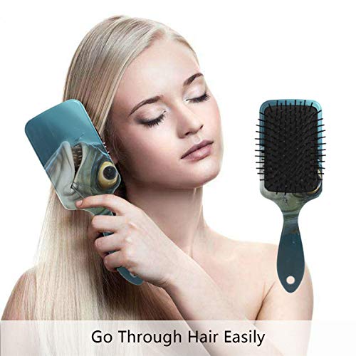 מברשת שיער של כרית אוויר של VIPSK, פיראנה צבעונית פלסטיק, עיסוי טוב מתאים ומברשת שיער מתנתקת אנטי סטטית