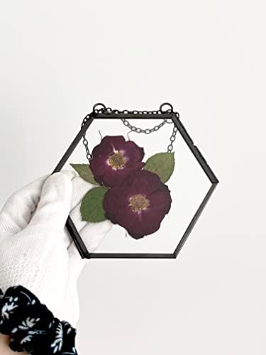 מסגרת זכוכית כפולה של Beedecor לפרחים לחוצים, צילום פולארויד ויצירות אמנות - מסגרות פרחים לחוצות