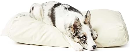 מיטת כלבים של אגדה - מיטת כלבים רכה נוספת - עיצוב מינימליסטי - עמיד במים, קל לניקוי חיצוני