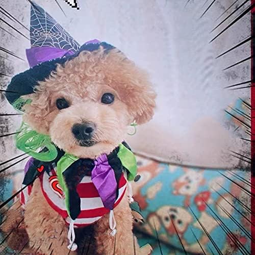 אניאק חיית מחמד תלבושות ליל כלב כלב חתול עכביש מכשפה מכשפה וכובע צווארון גורי קסם אשף קסם מכסה מסיבת