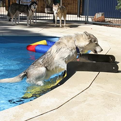 סולם כלבים של ציוד הרפתקאות ווטרדוג לבריכת שחייה