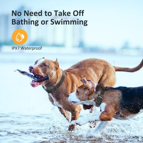 צווארון הלם כלבים של פטפט לכלב גדול - צווארון אימוני כלבים חשמליים עם טווח 1350 רגל מרחוק, IPX7 אטום למים
