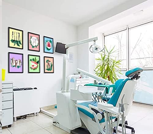 אנטומיה שיניים מדפיס אמנות קיר רפואי עיצוב קיר שיניים, אמנות קיר מרפאת שיניים, משרד מנתחים אורתודונטיה,