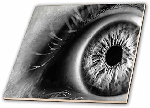 3תמונת רוז של מאקרו שחור ולבן של אריחי עיניים אנושיים