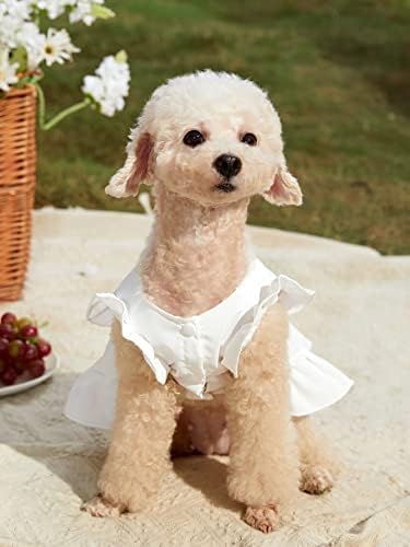 שמלת כלבים של כלבי Qwinee שמלת כלבים שמלת נסיכה קלה שמלות חתול קלות לכלבים בינוניים קטנים חתלתול לבן XS