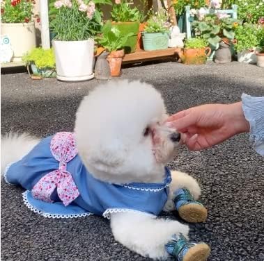 קטן כלב דק ג ' ינס כחול שמלה, חמוד נסיכת כלב חצאית עם קשת-קשר