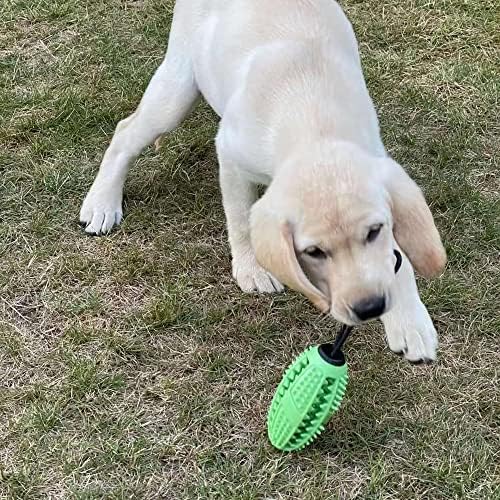 צעצועים כלבים גנריים בלתי ניתנים להריסה עבור גזע אגרסיבי בינונית גזע בינונית, כלב טבעי מברשת שיניים