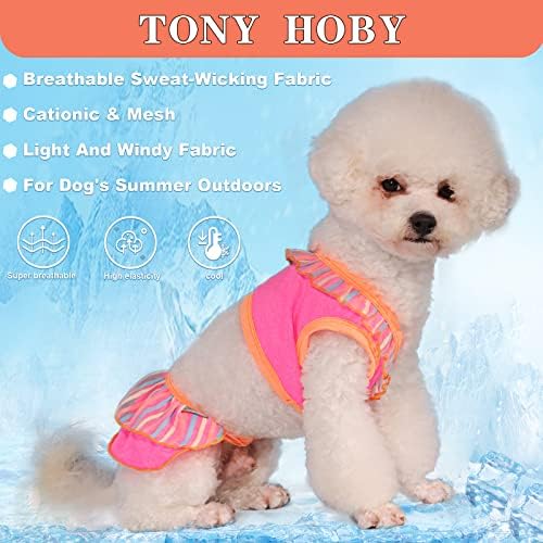 בגד ים של טוני הובי כלב, שמלת שחייה של ביקיני ביקיני, שמלת חוף כלבים בחוף הים, בריכה, בגד ים לכלבים