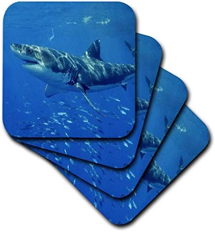 3 עלה כריש לבן גדול-תחתיות אריחי קרמיקה, סט של 4