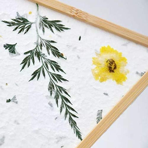 מעובד 3 גודל נייר עץ יוצר מסגרת עובש מסגרת ייצור נייר למלאכת נייר DIY וכיסוי פרחים מיובש