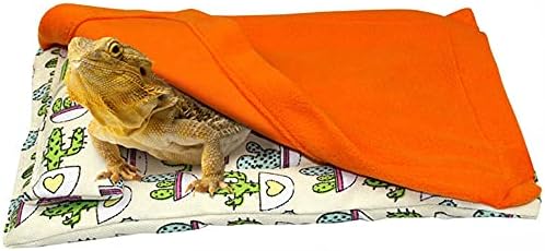 שקי שינה דרקון מזוקן של הייצ'ן טק עם כרית ושמיכה מיטה רכה בית גידול עיצוב אביזרים לכלוב לזוחלים