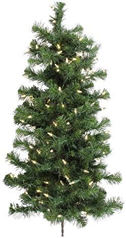 Vickerman 36 דגלאס אש מלאכותית עץ קיר חג המולד מלאכותי, אורות ליבון ברורים של דורה -מוארים - עץ