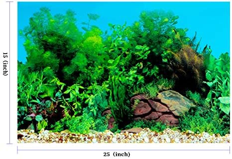 לנדוויי אלמוגים תת-ימיים חדשים, רקע אצות קישוט רקע אקווריום 25 על 15 אינץ ' סקסי
