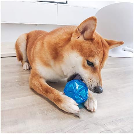 פדומוס מדליק כדור כלב כדורים חורקים לכלבים פלאש אלסטי הוביל כדורי צעצוע של כלב צעצועים כלבים אינטראקטיביים